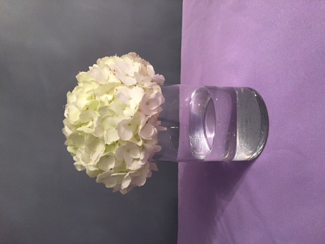 Centre-de-table-Hydrangy-e-Blanc.jpeg