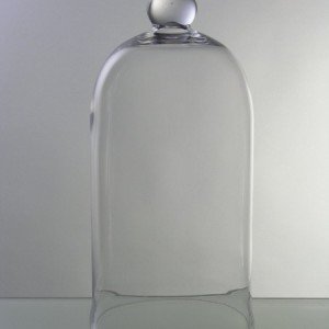 Cloche-de-verre-Transparent.jpg